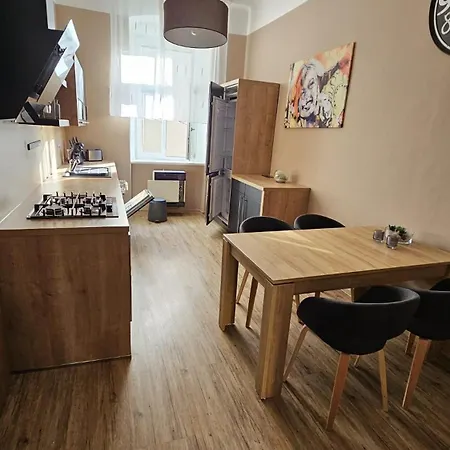 Dvoupokojovy S Kuchyni, Obyvacim Pokojem, Loznici , Satnou A Koupelnou V Bytovem Dome V Centru Mesta ヘプ
