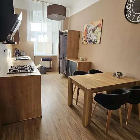 Dvoupokojovy S Kuchyni, Obyvacim Pokojem, Loznici , Satnou A Koupelnou V Bytovem Dome V Centru Mesta * ヘプ
