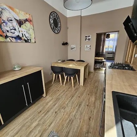 Dvoupokojovy S Kuchyni, Obyvacim Pokojem, Loznici , Satnou A Koupelnou V Bytovem Dome V Centru Mesta * ヘプ