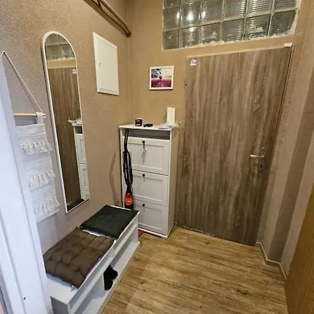 Dvoupokojovy S Kuchyni, Obyvacim Pokojem, Loznici , Satnou A Koupelnou V Bytovem Dome V Centru Mesta *